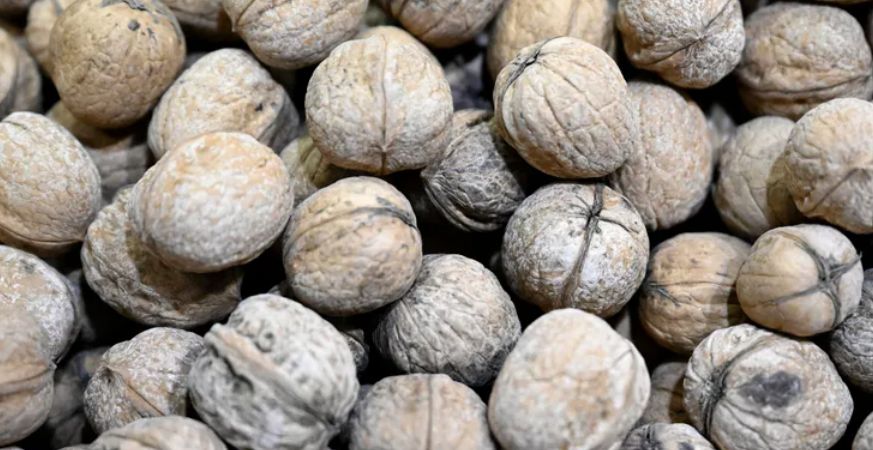 لمقاومة أعراض الشيخوخة.. تناول هذا الطعام السحري