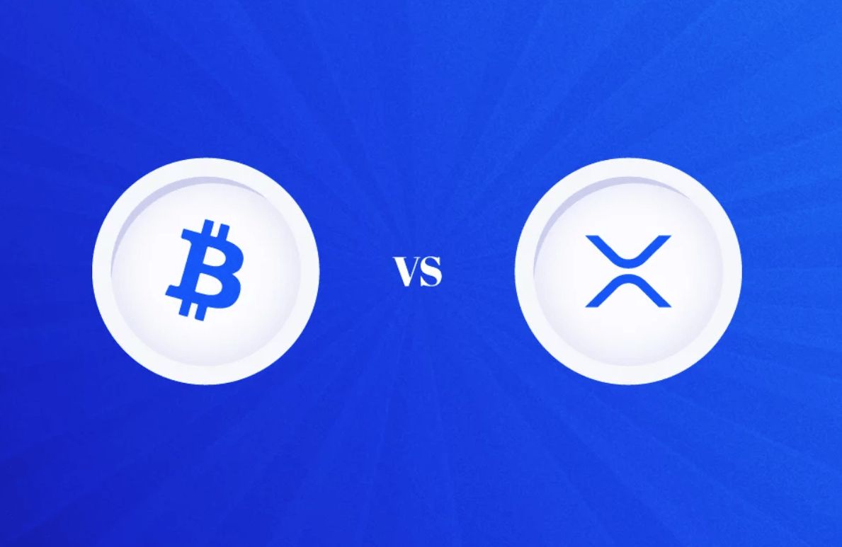 الرئيس التنفيذي لشركة الريبل يدافع عن XRP وسط الانتقادات اللاذعة الموجهة لها