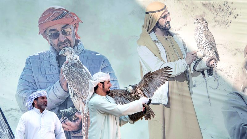 الامارات | «كأس محمد بن راشد» فخر البطولات.. 900 صقّار يتنافسون على الجوائز