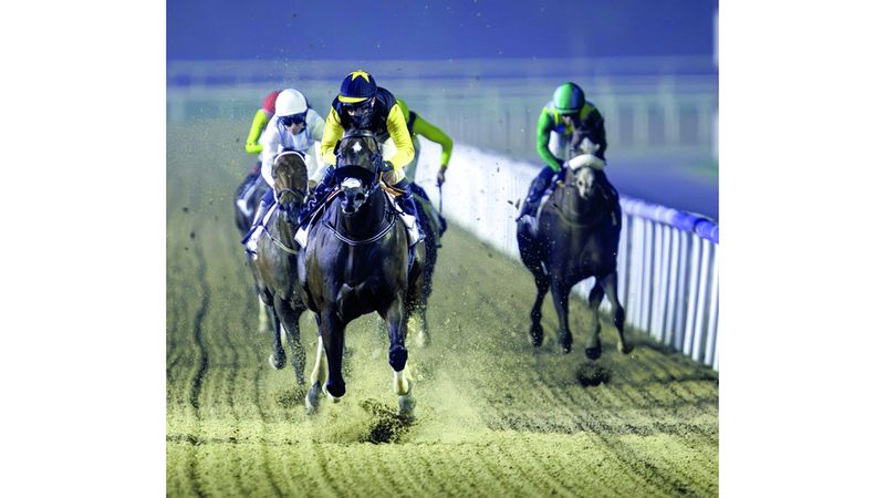 الامارات | إعلان الخيول المرشحة للمشاركة في كأس دبي العالمي