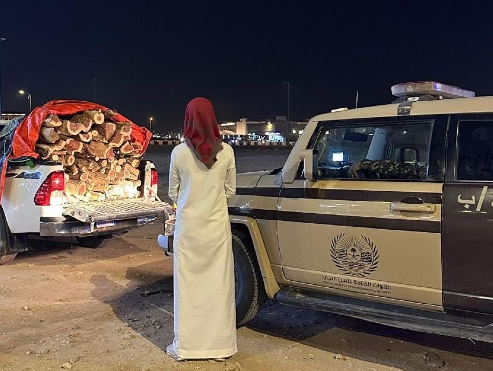 المدينة المنورة.. ضبط مخالف لنظام البيئة بحوزته حطب محلي للبيع