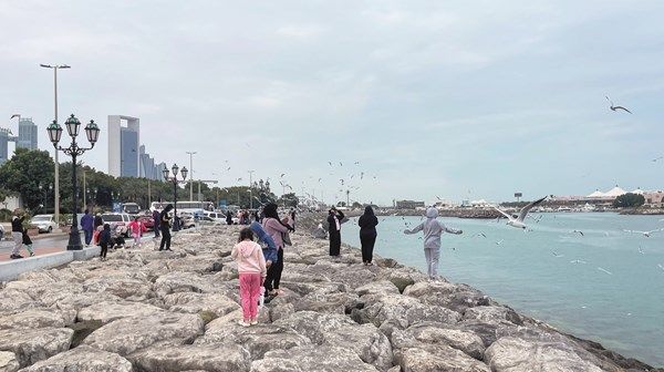 اليوم.. الدولة تتأثر بمنخفض جوي