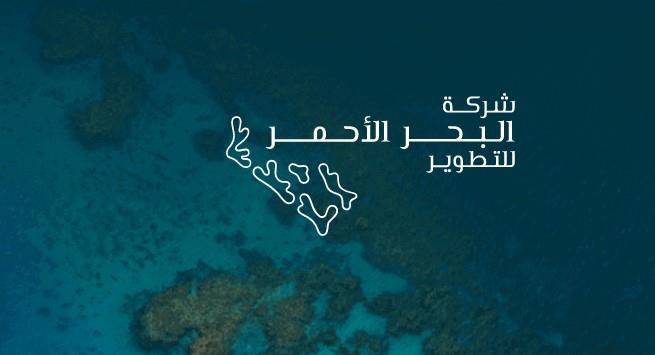 وظائف شاغرة لدى البحر الأحمر الدولية