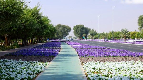 2.3 مليون زهرة تزين العين