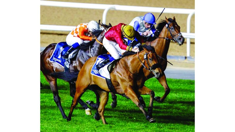 الامارات | 90 خيلاً تتنافس في الأمسية الـ 10 على «ميدان» اليوم