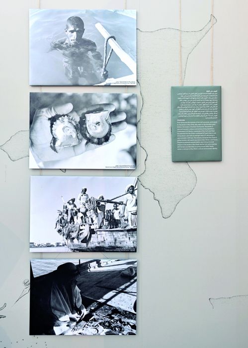 الامارات | من ظبي على عين ماء إلى مدينة عالمية.. مهرجان الحصن يروي قصة الجزيرة