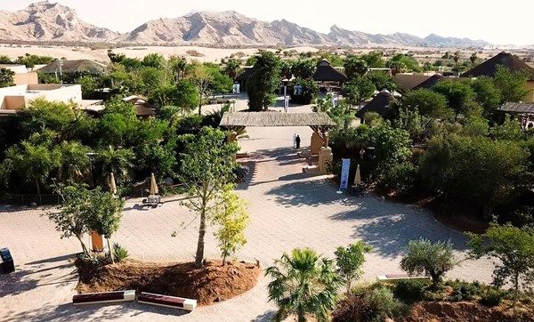 حديقة الحيوانات بالعين تستقبل كبار السن مجاناً