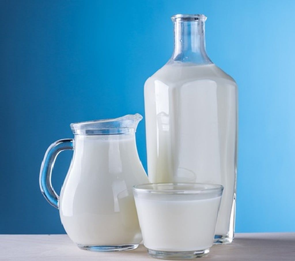 الأبقار أم الإبل؟.. دراسة أسترالية تكشف الحليب الحيواني الأكثر فائدة!