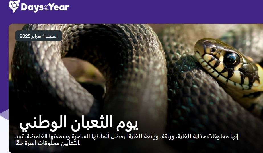 طالع الأبراج: يوم الأفعى.. ما هو برج الثعبان الصينى وأهم صفاته ومواليده؟