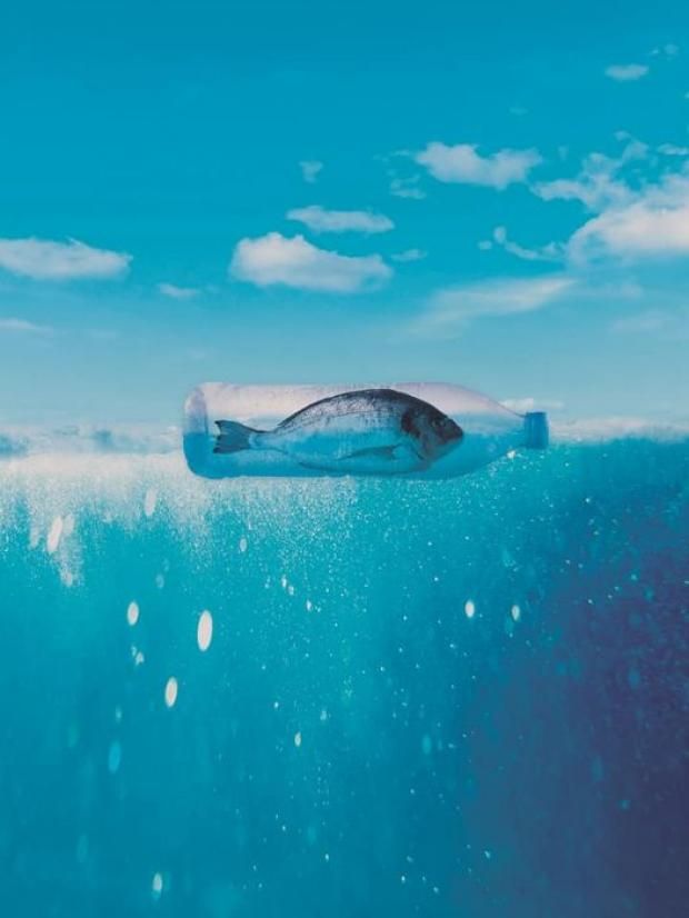 لماذا يشعر المصريون بالحر في الشتاء وما تأثيره؟.. مخاطر صحية ونفسية