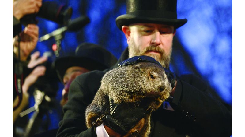 الامارات | «الأرصاد الأميركية» تشكك في تنبؤات «القارض فيل»