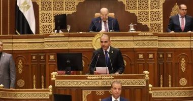 نائب التنسيقية يدعو لتوضيح سياسة تنظيم عمل منصات التمويل الجماعى