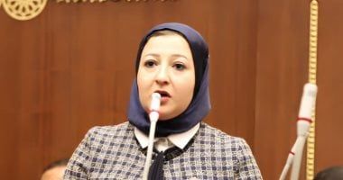 عضو بالشيوخ تدعو لتشجيع نشاط الاستثمار المباشر ورأس المال المخاطر لتمويل المشروعات الناشئة