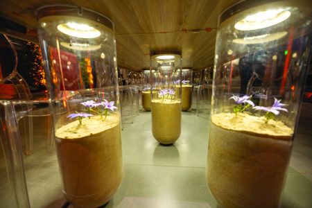 الامارات | عشاء في «بيت الزعفران» بدبي.. بمذاق الفن والزهرة الغالية