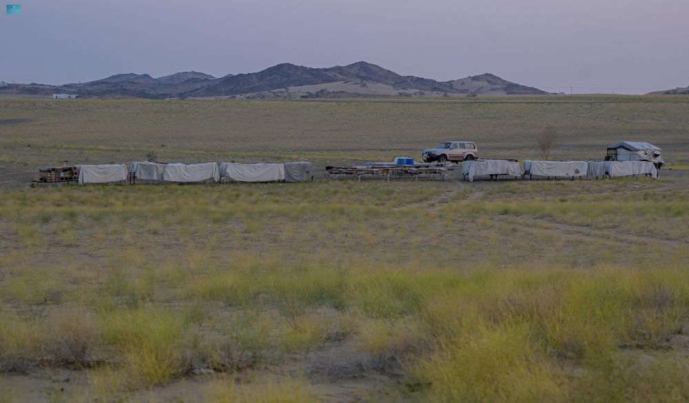 تربية النحل في الباحة.. القطاع التهامي وجهة مثالية لإنتاج العسل