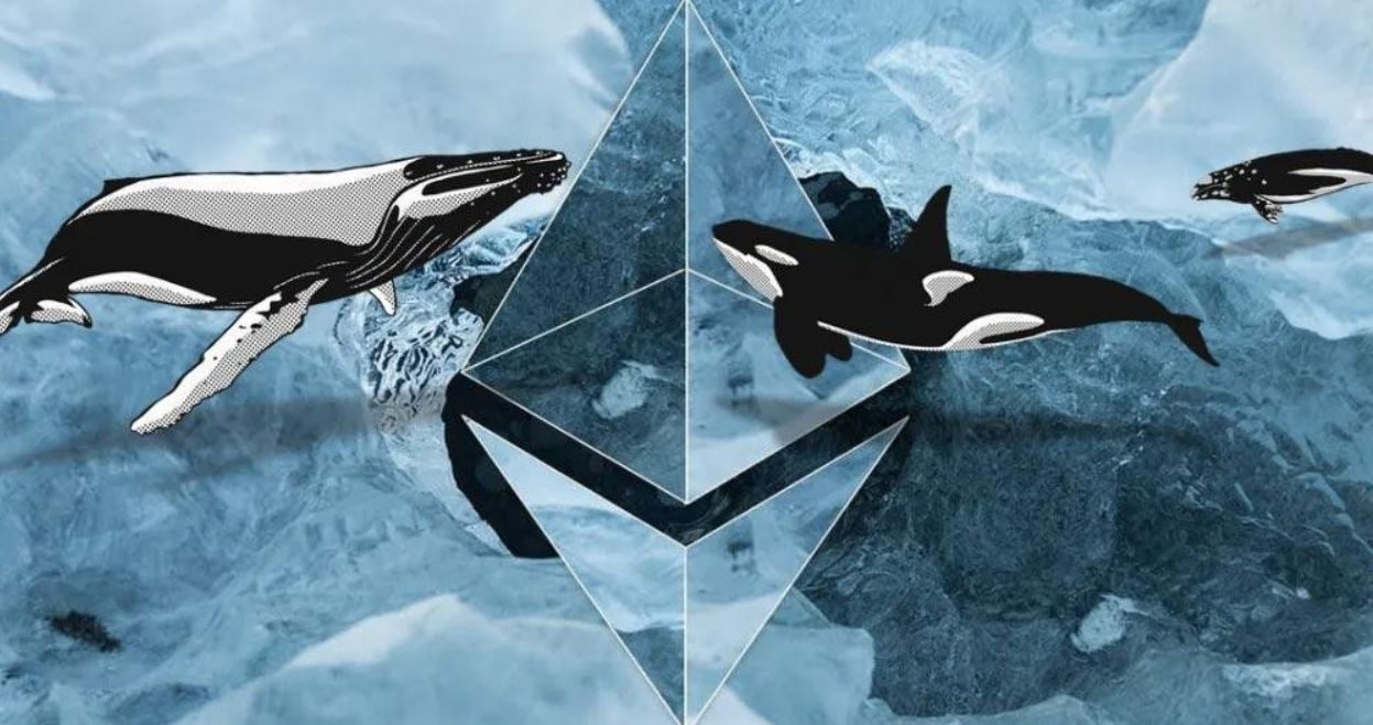 زيادة حركة حيتان الايثيريوم قبل انهيار السوق بنسبة 20%