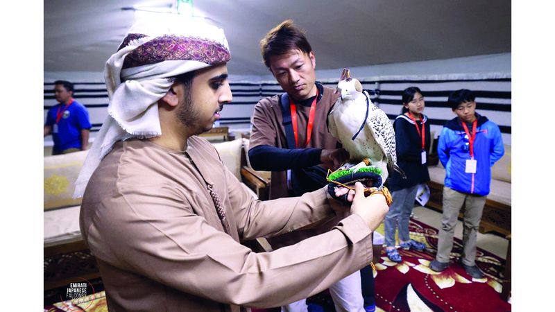 الامارات | برنامج الصقارة الإماراتي - الياباني ينطلق السبت