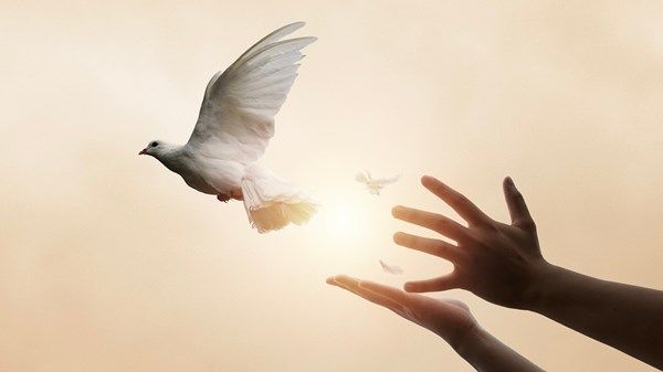 اليوم العالمي للأخوة الإنسانية.. احتفاء بمبادرات إماراتية ملهمة