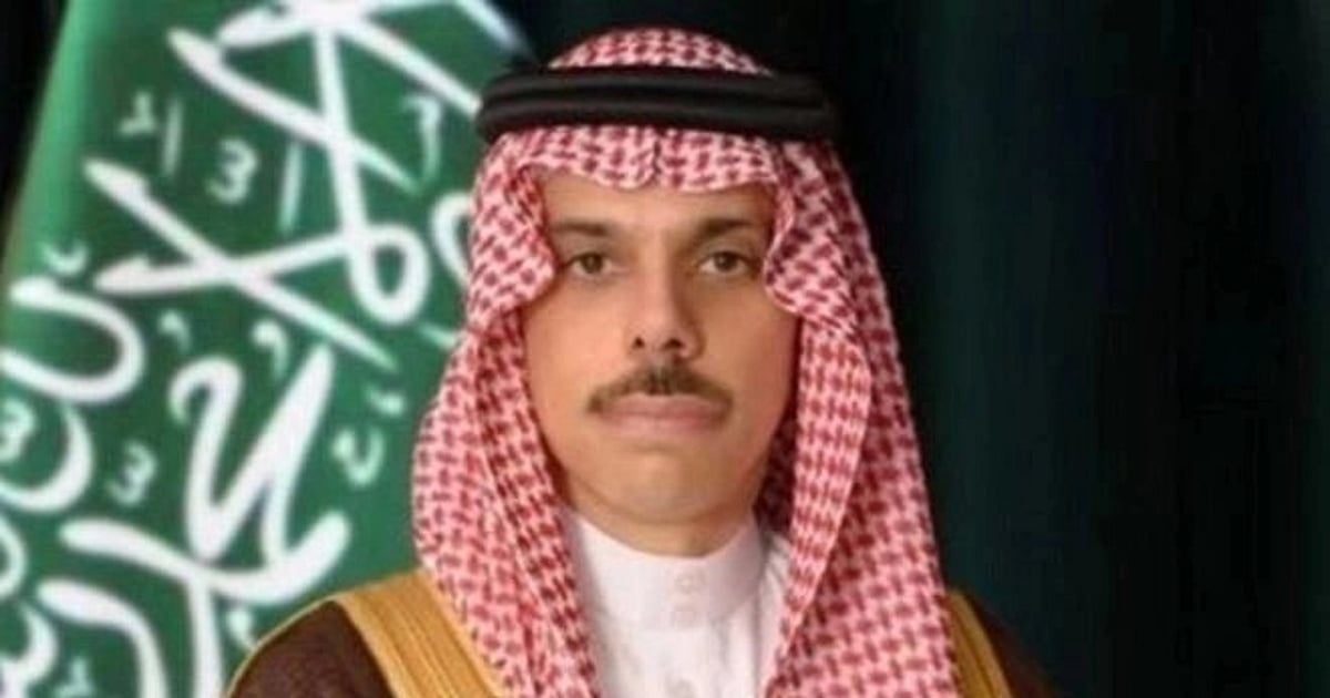 وزير الخارجية يصل إلى اليابان في زيارة رسمية