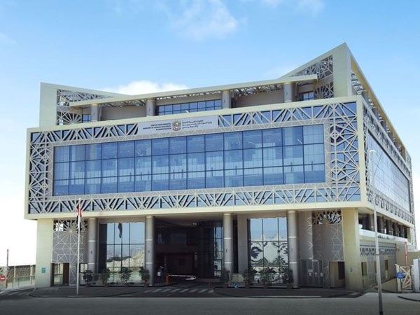 سوق العمل في الدولة يحقق نتائج استثنائية خلال عام 2024