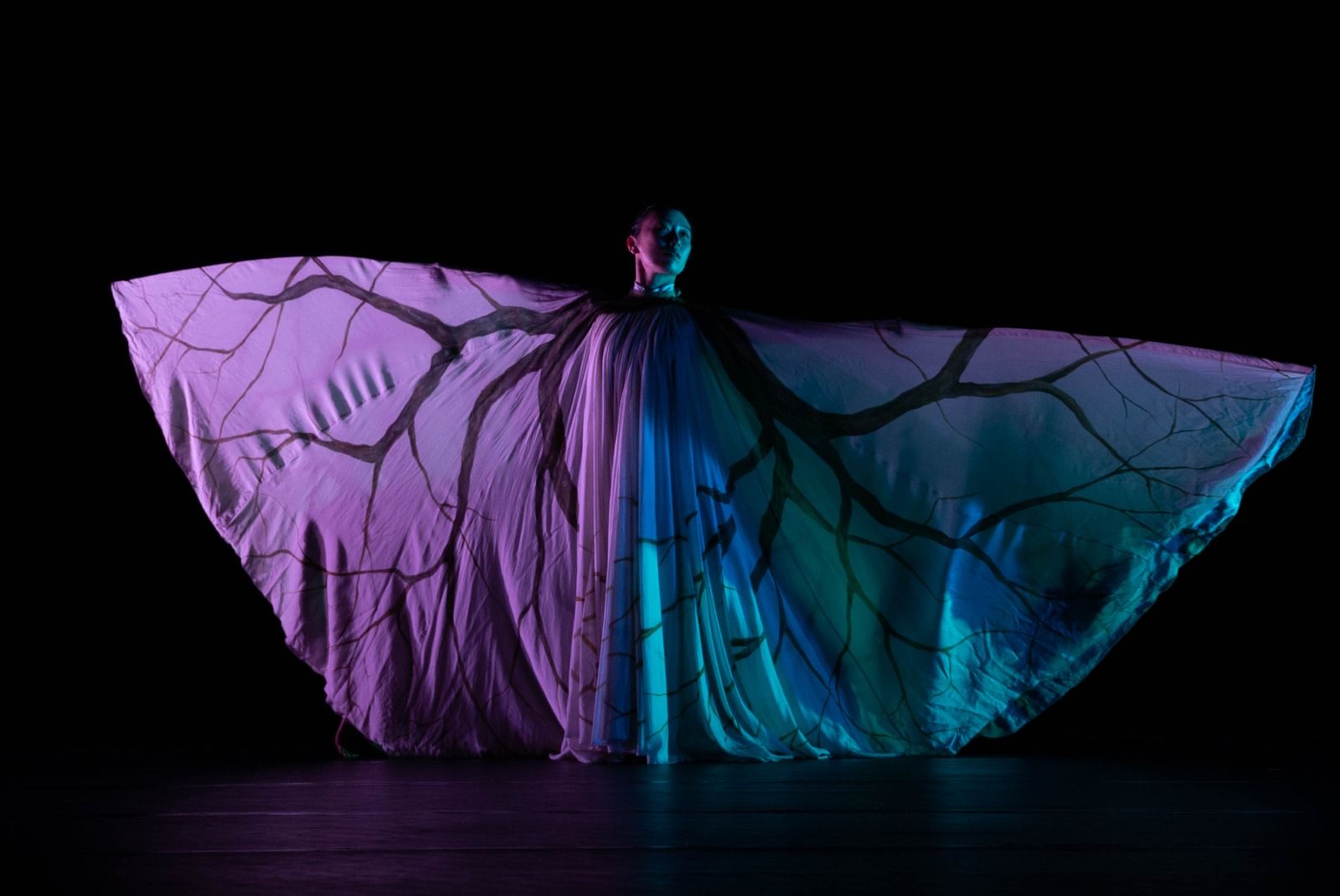 4 عروض دولية بمهرجان حكاوى الدولى لفنون الطفل فى نسخته الـ14.. صور