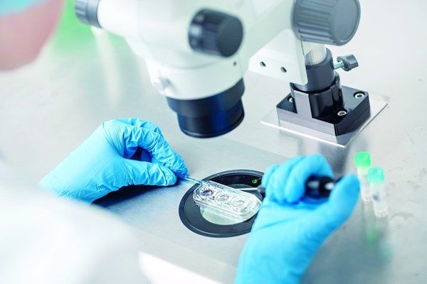 695 حالة ولادة باستخدام التلقيح الاصطناعي في أبوظبي