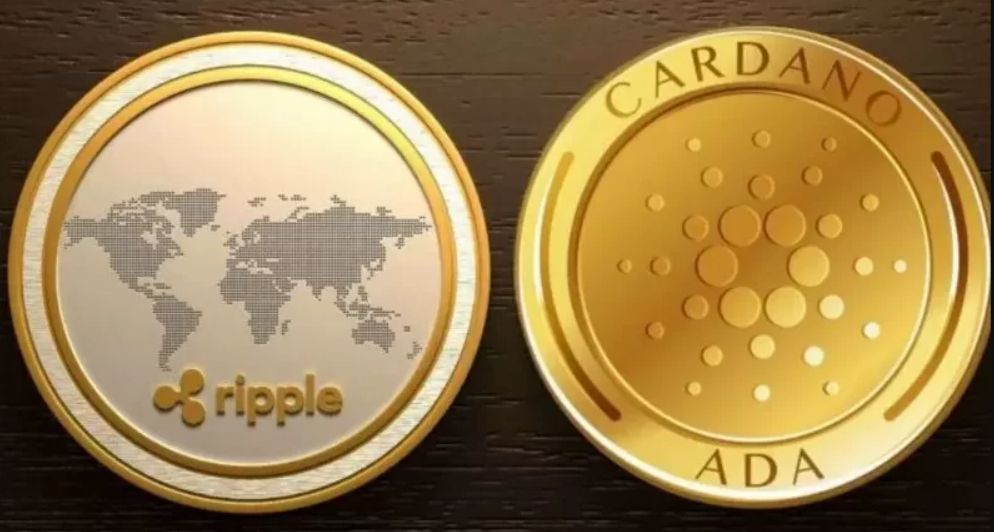 شراكة محتملة بين شركة الريبل وكاردانو قد تُعلن الشهر المقبل!