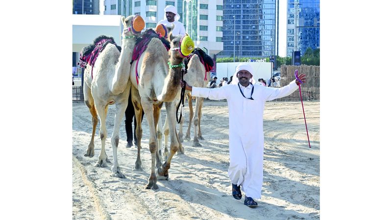 الامارات | ضيوف «الحصن» يستعيدون حياة البادية مسترشدين بالنجوم