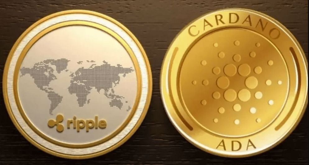 شراكة محتملة بين شركة الريبل وكاردانو قد تُعلن الشهر المقبل!