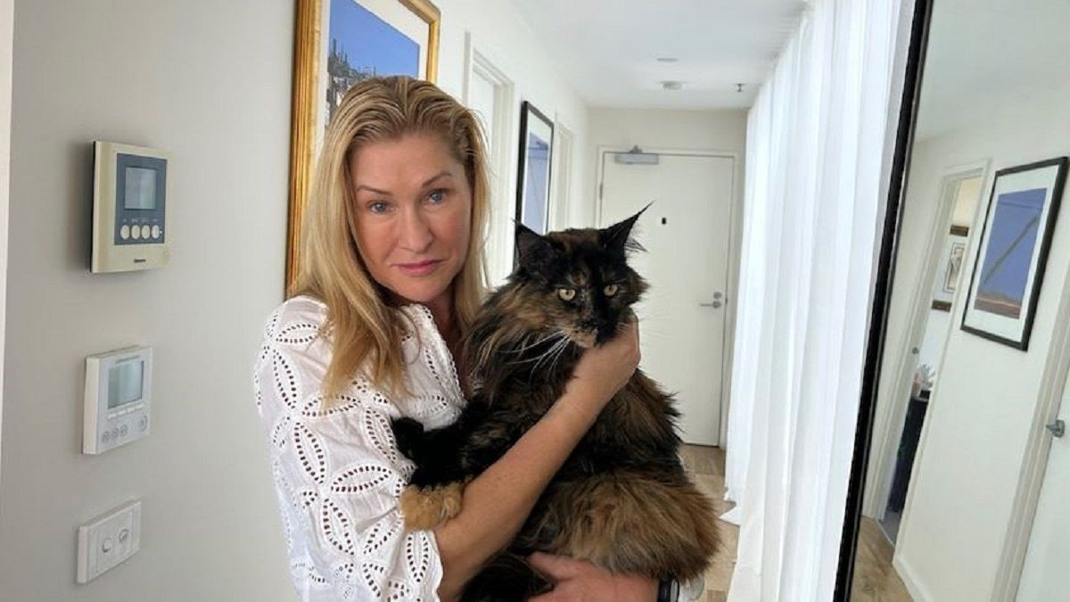 الامارات | قطة تسافر في 3 رحلات جوية طويلة بعدما نسيها الموظفون في عنبر الشحن