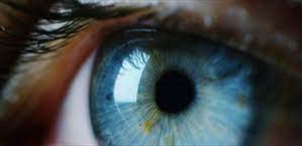 الامارات | «هناء» تستعيد بصرها بعد 30 عاماً مع العمى