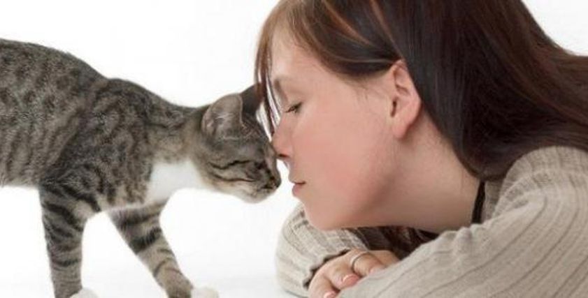 هل القطط تسبب العقم؟.. عدوى خطيرة تنقلها للنساء