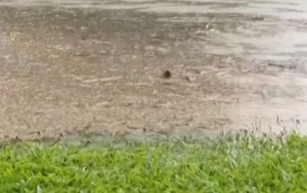 فيضانات قوية في كوينزلاند الأسترالية تخلف دماراً واسعاً