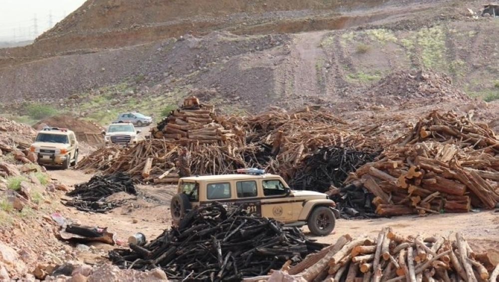 القوات الخاصة للأمن البيئي تضبط مخالفين لنقل الحطب المحلي