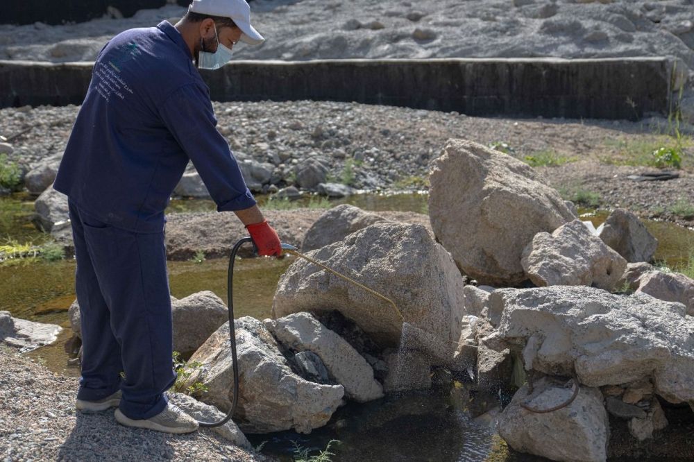 صور.. معالجة 574 مستنقعًا وبركة مائية للحد من المهددات البيئية بالطائف
