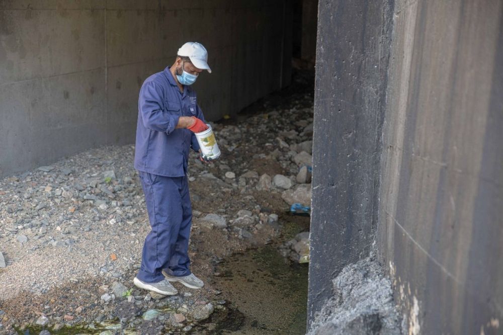 صور.. معالجة 574 مستنقعًا وبركة مائية للحد من المهددات البيئية بالطائف