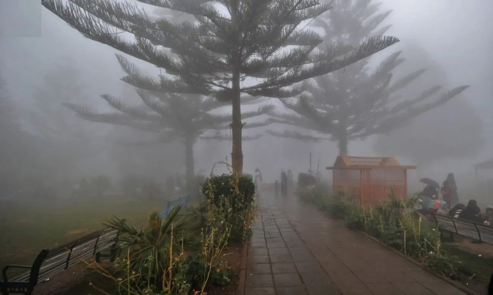 بالإنذار الأحمر.. الأرصاد ينبه من عواصف ترابية على 4 مناطق