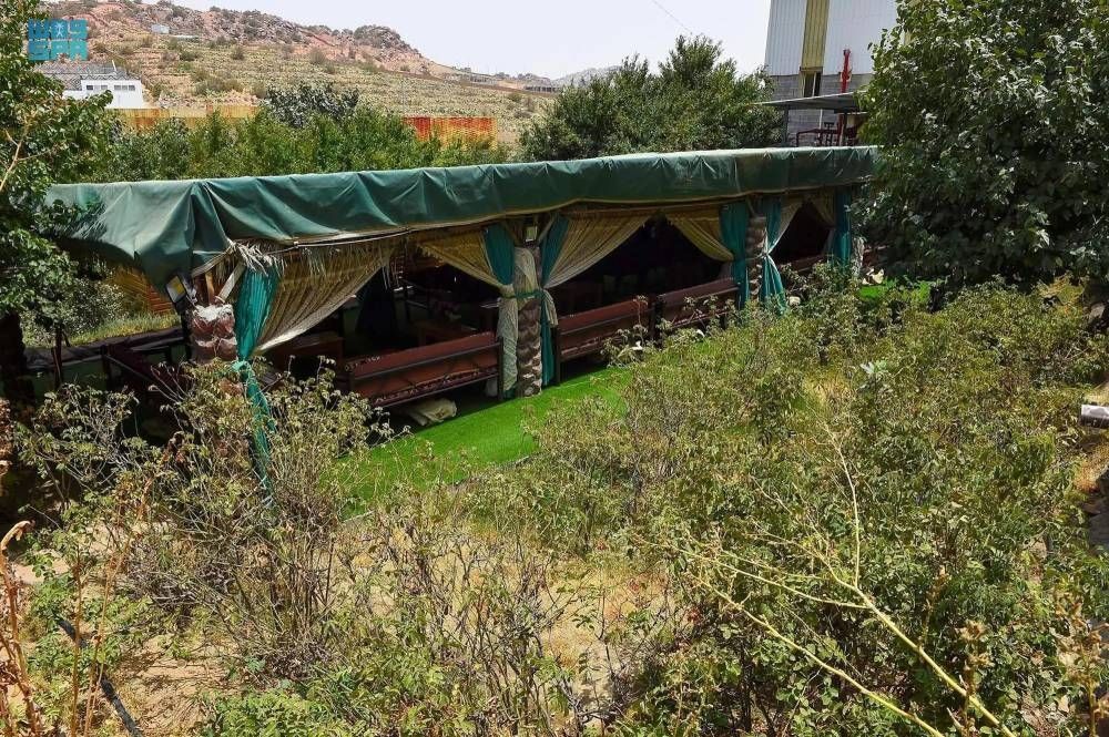 مبادرة للتعريف بكنوز الريف السعودي