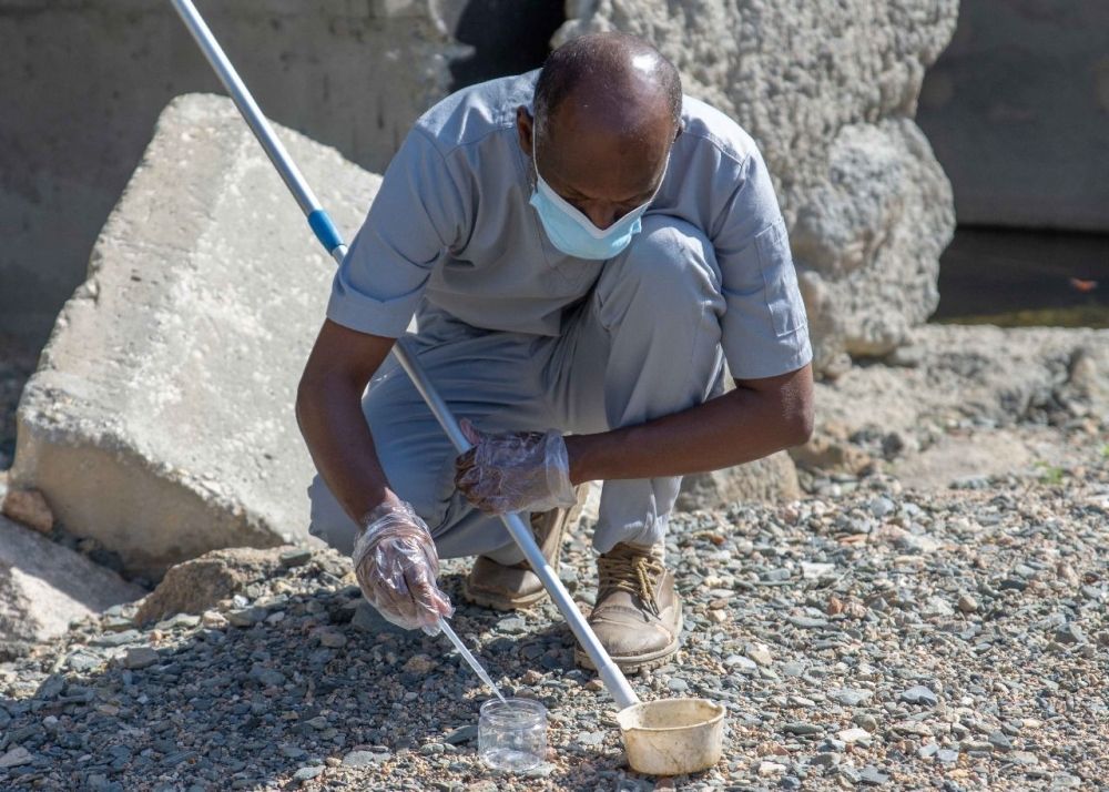 صور.. معالجة 574 مستنقعًا وبركة مائية للحد من المهددات البيئية بالطائف