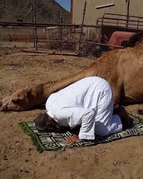 اذا رددت هذه الكلمات بين السجدتين سيفتح الله عليك فتحاً عظيماً ويرزقك حلالاً طيباً..!