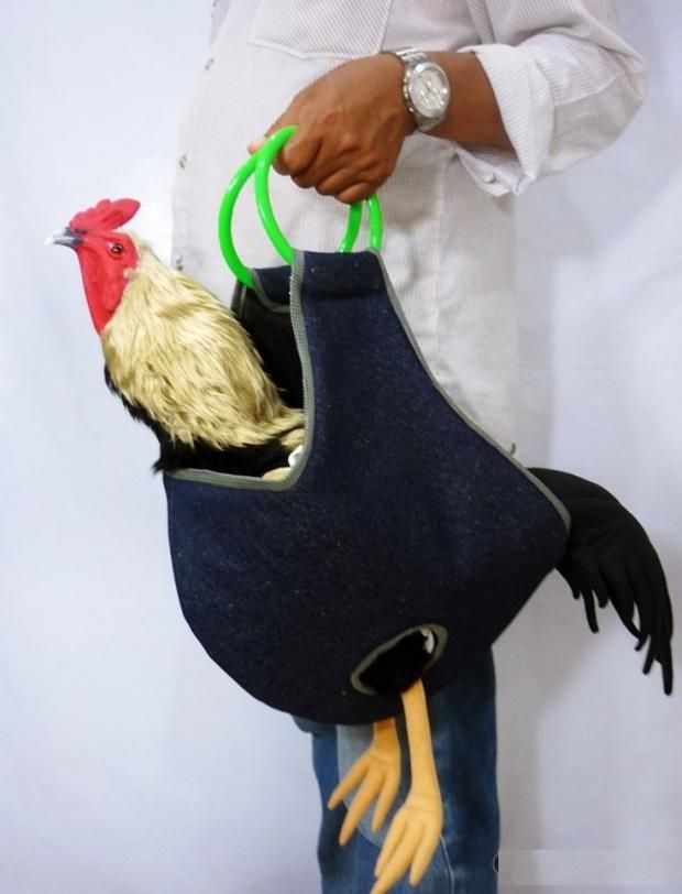 بعد انتقاله للبشر.. لماذا أصبح فيروس إنفلونزا الطيور أكثر شراسة؟