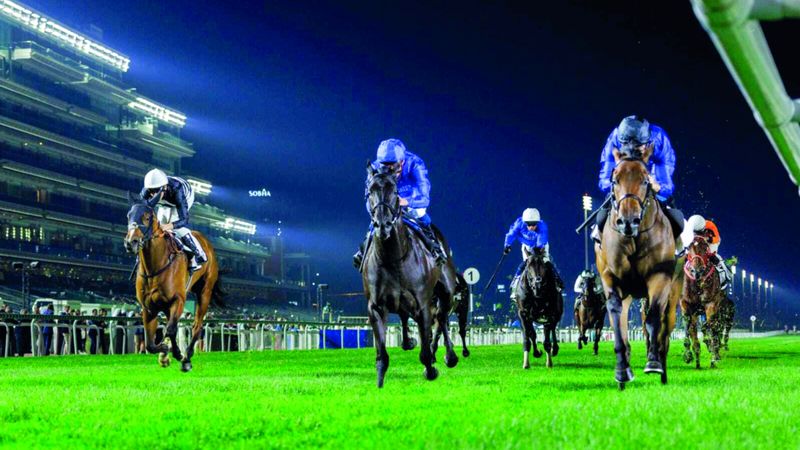 الامارات | 110 خيول تتنافس في الأمسية  الـ 11 لكرنفال سباقات دبي