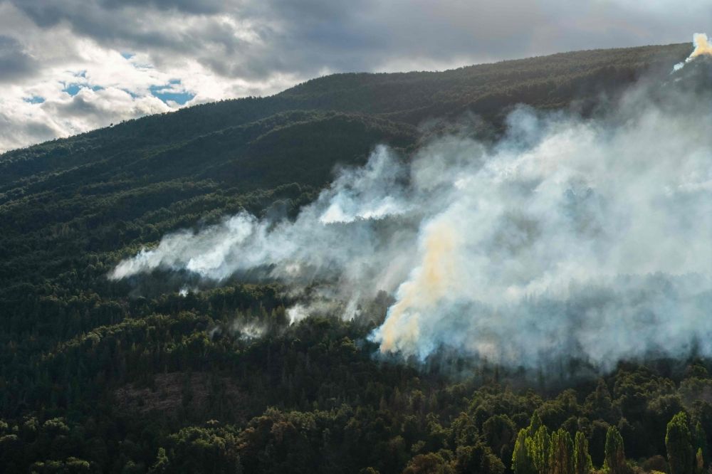 "بعضها متعمد".. فرض حظر التجوال بسبب حرائق الغابات في تشيلي