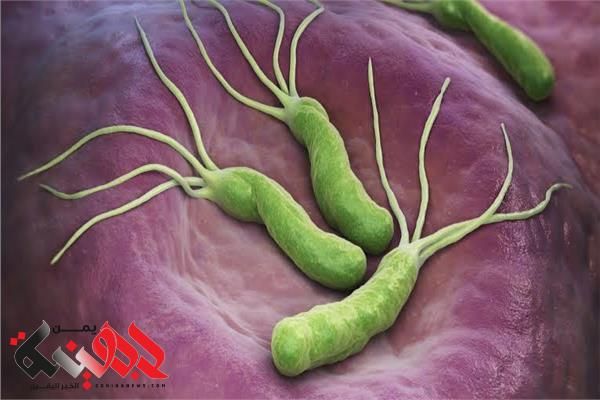 العلاج السريع والفعال لجرثومة المعدة! مشروب بسيط مع زيت الزيتون ينهي المرض تماما