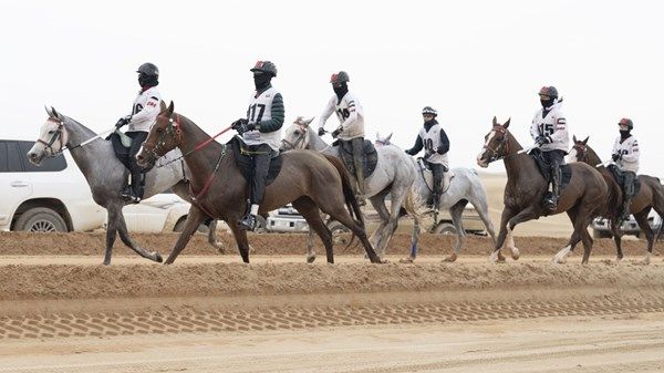 برعاية منصور بن زايد.. كأس رئيس الدولة للقدرة تنطلق في الوثبة غداً