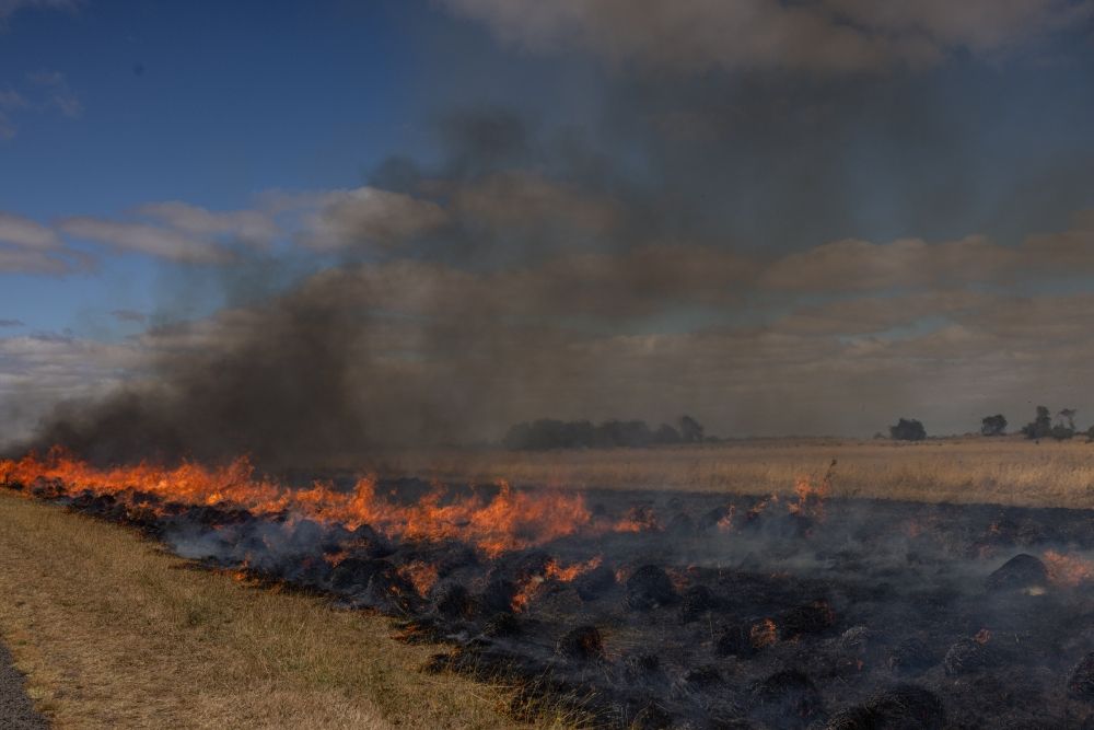 "بعضها متعمد".. فرض حظر التجوال بسبب حرائق الغابات في تشيلي