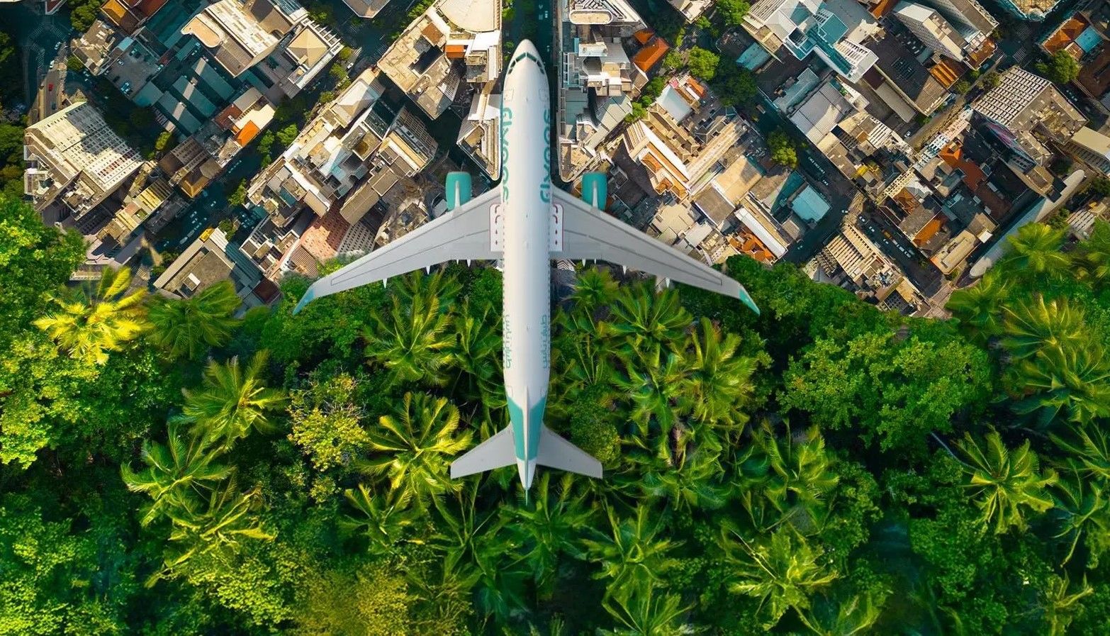 أداء الاستدامة 2024 لطيران ناس: شراكة لتعويض الكربون في أسواق عالمية.. وانخفاض الانبعاثات 625 ألف طن بما يعادل زراعة 25 مليون شجرة