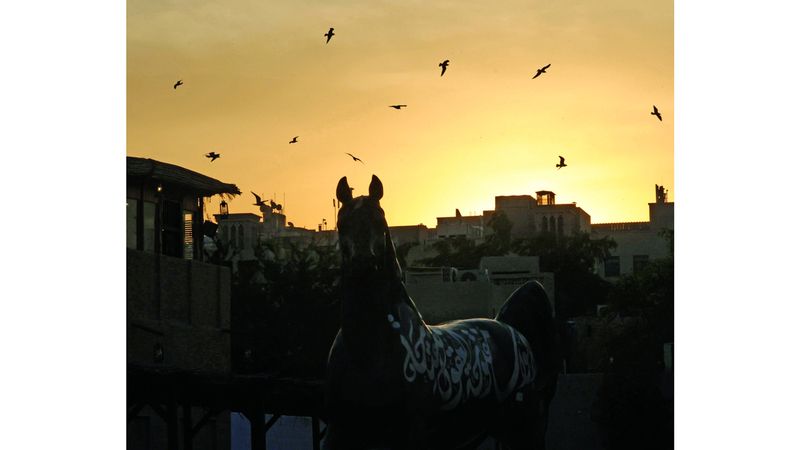 الامارات | نوارس الفهيدي