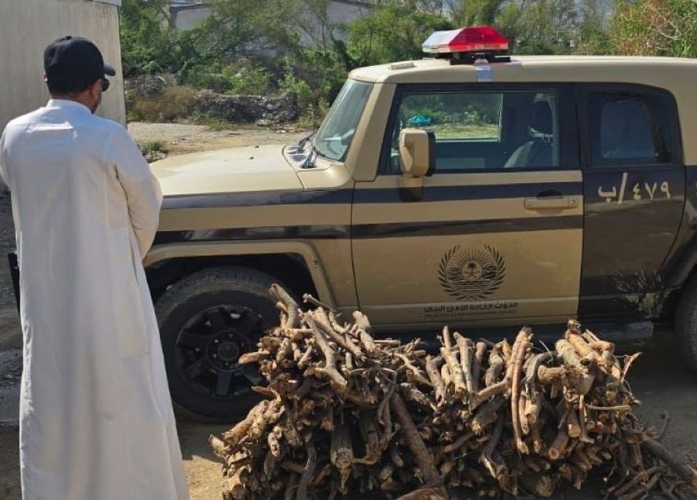 جدة.. ضبط مخالف لنظام البيئة بحوزته حطب محلي معروض للبيع