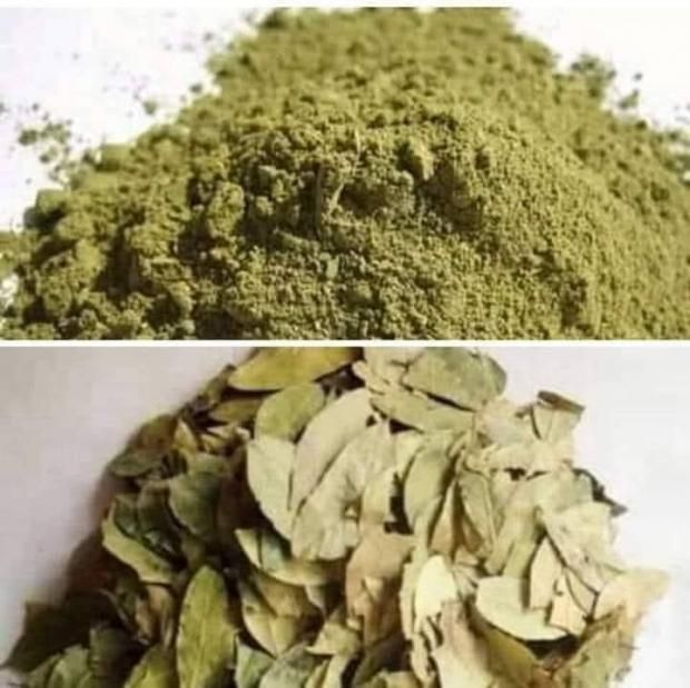 تأثير وضع السدر على الشعر.. اعرفي الحقيقة الكاملة